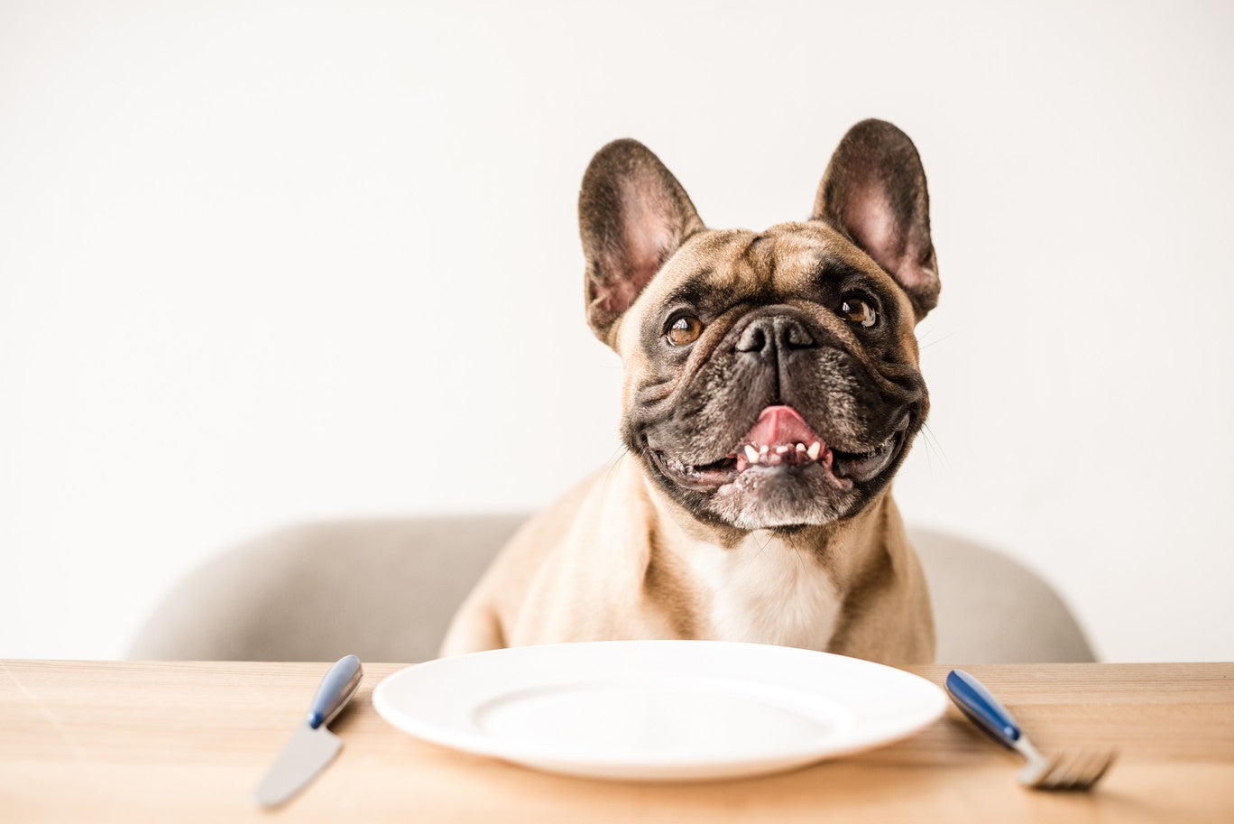 Dog ate best sale raw sweet potato