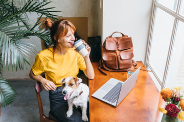 Small dog sitting on owner’s lap at a coffee shop while owner drinks coffee