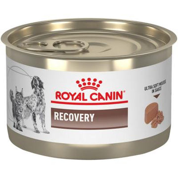 Royal Canin Veterinary Diet Recovery Canned Cat and Dog Food