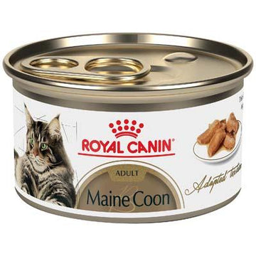 Royal Canin Feline Breed Nutrition Maine Coon Adult Thin Slices in Gravy Canned Cat Food