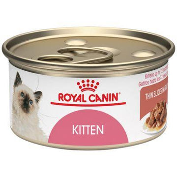 Royal Canin Feline Health Nutrition Thin Slices in Gravy Kitten Canned Cat Food