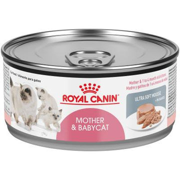 Royal Canin Feline Health Nutrition Mother and Babycat Canned Cat Food