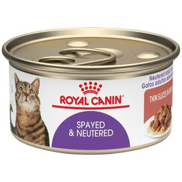 Royal Canin Feline Health Nutrition Spayed/Neutered Thin Slices in Gravy Canned Cat Food