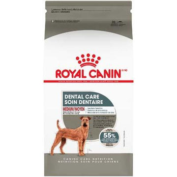 Royal Canin Canine Care Nutrition Medium Dental Care Dry Dog Food