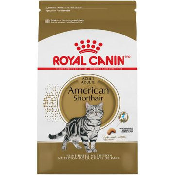 Royal Canin Feline Breed Nutrition American Shorthair Adult Dry Cat Food