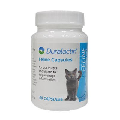 Duralactin Feline Capsules | Dutch