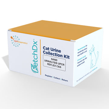 Cat Urinalysis with Reflex Culture & Sensitivity Kit