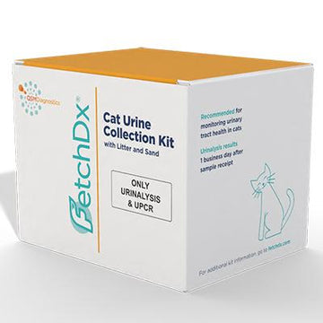 Cat Urinalysis Wellness Kit (UA with sedimentation analysis and UPCR)